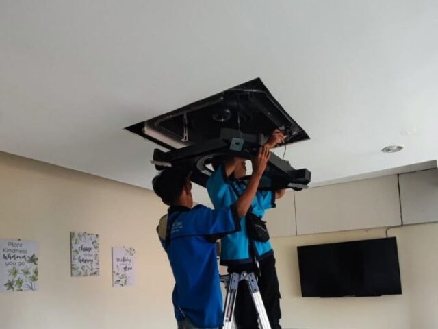 Tesing & Quality Check
